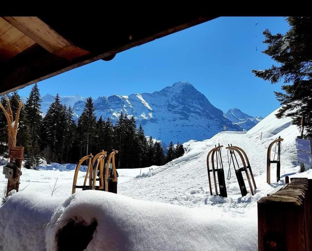 Ferienwohnung Talhaus Lauterbrunnen Exteriör bild